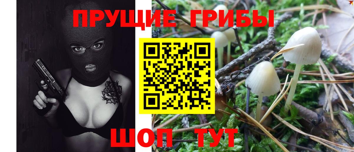 Псилоцибиновые грибы прущие грибы Лесосибирск